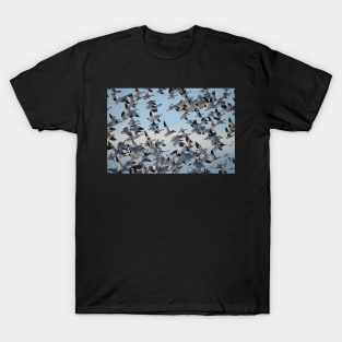 Migration T-Shirt